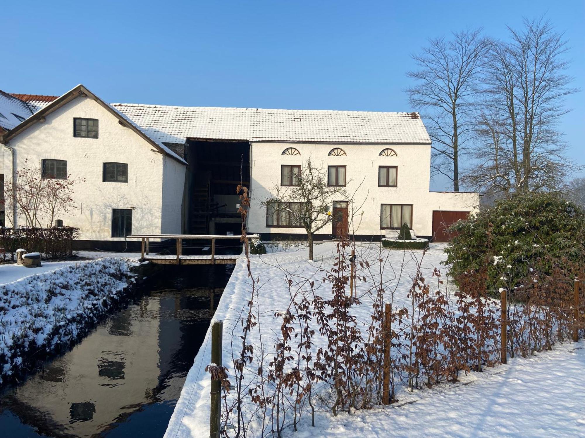 Vakantiewoning Wurfeldermolen Маасейк Экстерьер фото